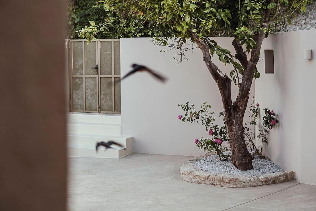 Lotusland, A Relaxing House At Amari Rethymno Villa Agia Fotini  Eksteriør billede